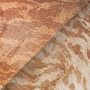 tarbosaurus_bataar