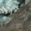 triceratops_horridus