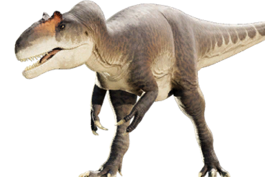 allosaurus_fragilis