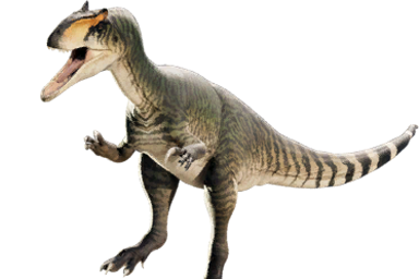allosaurus_jimmadseni