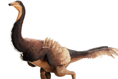 gallimimus_bullatus