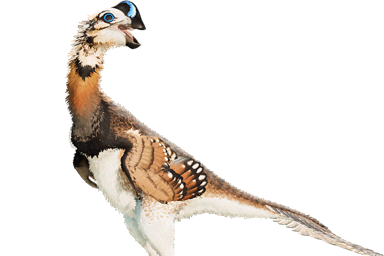 oviraptor_philoceratops