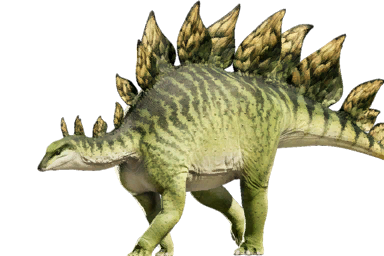 stegosaurus_stenops