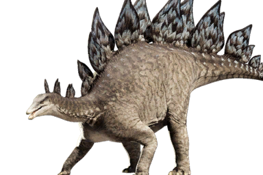 stegosaurus_ungulatus