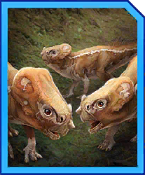 aquilops