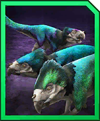 aquiraptor