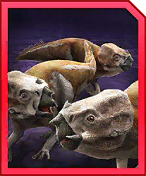 aquisaurus