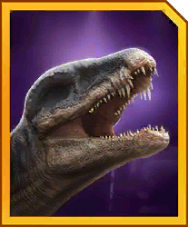 baryothus