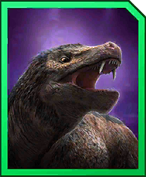 dakotacurus
