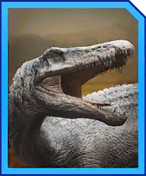 leucistic_baryonyx