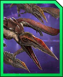 monkeyondactylus