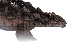 Gobisaurus
