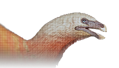 Nanshiungosaurus