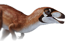 Sinosauropteryx