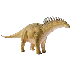 Amargasaurus