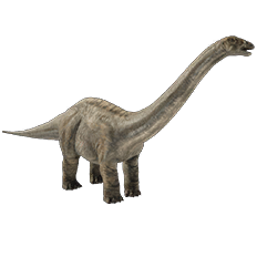 Apatosaurus