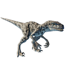 Atrociraptor