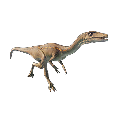 Coelophysis