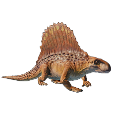 Dimetrodon
