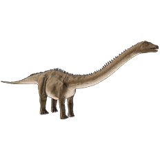 Diplodocus