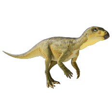 Hypsilophodon