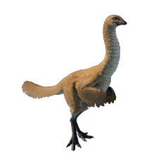 Ornithomimus