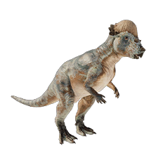 Pachycephalosaurus 