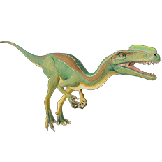 Proceratosaurus