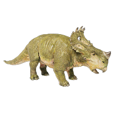 Sinoceratops