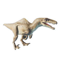 Spinoraptor