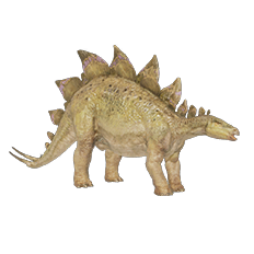 Stegosaurus
