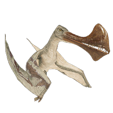 Tropeognathus