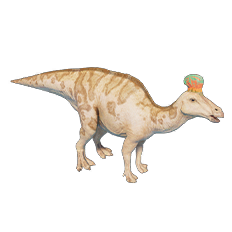 Tsintaosaurus