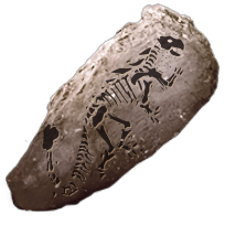 fossil_ankylosauria_common