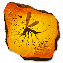 fossil_ceratopsia_rare