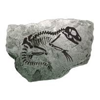 fossil_dromaeosauridae_uncommon
