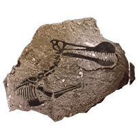 fossil_flyingreptile_common
