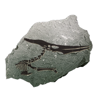 fossil_flyingreptilecrest_uncommon