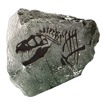 fossil_giantthoropoda_uncommon