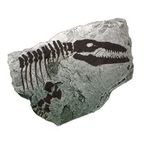 fossil_mosasaur_uncommon