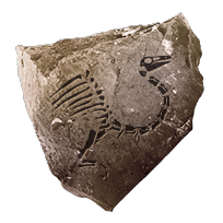 fossil_ornithomimidae_common
