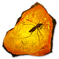 fossil_pachycephalo_rare