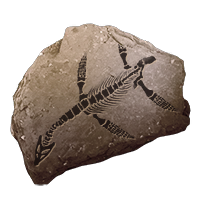 fossil_plesiosaur_common