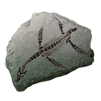 fossil_plesiosaur_uncommon