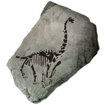 fossil_saurapoda_uncommon