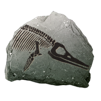 fossil_smallmarine_uncommon