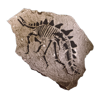 fossil_stegosauria_common