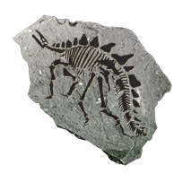 fossil_stegosauria_uncommon