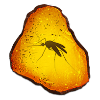 fossil_synapsida_rare