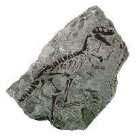 fossil_thoropoda_uncommon